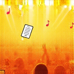 Welcher Abstimmungsstil hast du bei Musikshows?